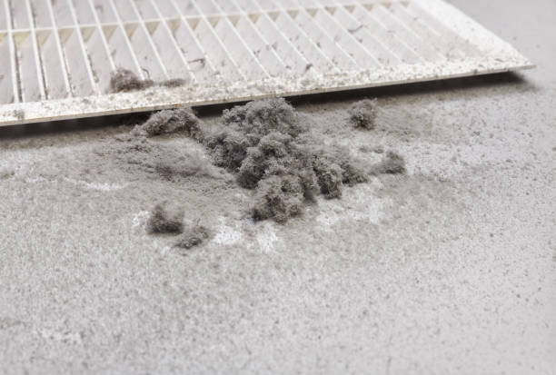 Best General Air Duct Cleaning  in North Branch, MI