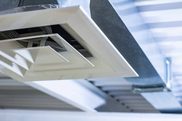 Best Local Air Duct Cleaning Services  in North Branch, MI