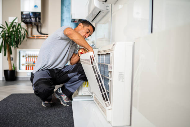 Best Professional Duct Cleaning Services  in North Branch, MI