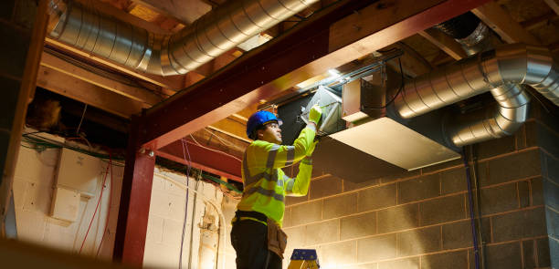 Best Air Duct Sanitizing Services  in North Branch, MI
