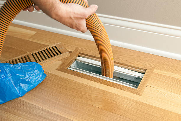 Best Air Duct Cleaning Near Me in North Branch, MI