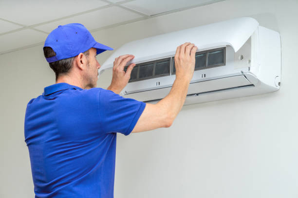 Best HVAC Air Duct Cleaning  in North Branch, MI