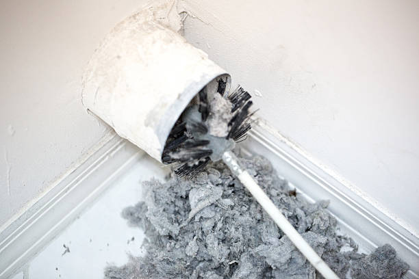 Best Affordable Duct Cleaning Services  in North Branch, MI