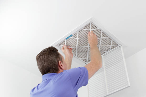 Best Emergency Air Duct Cleaning  in North Branch, MI